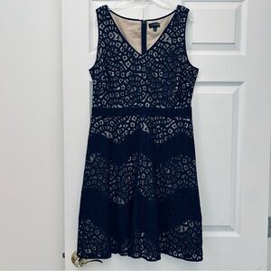 Navy Lace Dress by The Limited